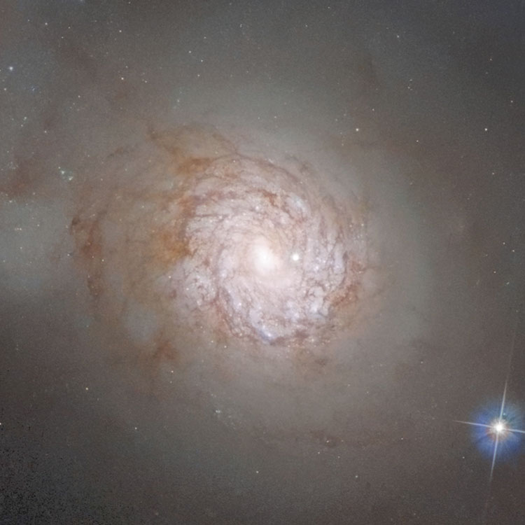 HST image of central portion of spiral galaxy NGC 5953