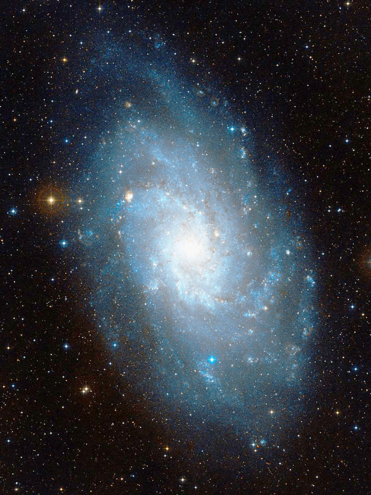 DSS image of spiral galaxy NGC 598, also known as the Triangulum Galaxy, M33