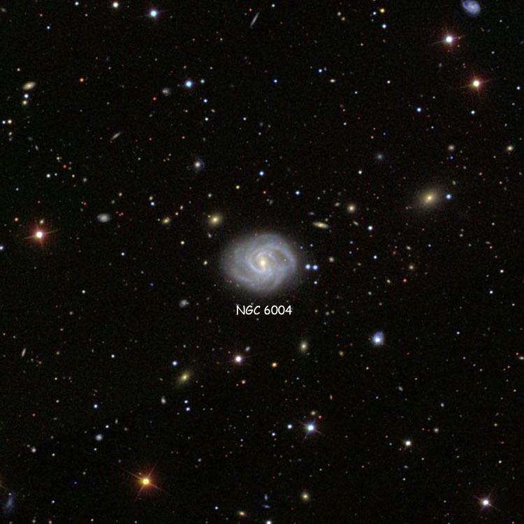 SDSS image of region near spiral galaxy NGC 6004