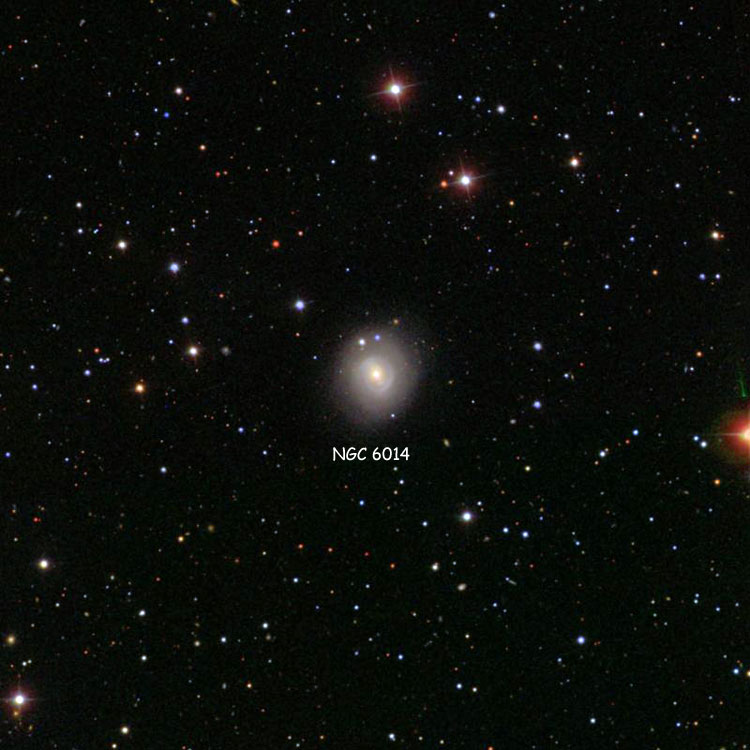 SDSS image of region near lenticular galaxy NGC 6014