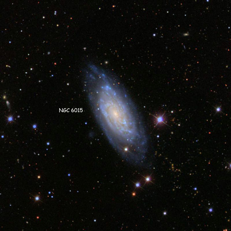 SDSS image of region near spiral galaxy NGC 6015