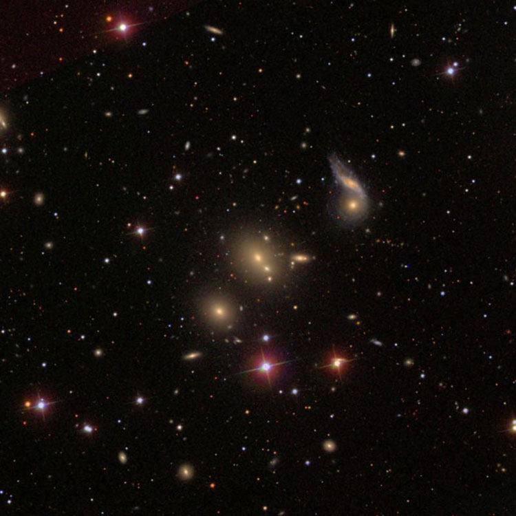 Unlabeled SDSS image of region near elliptical galaxy NGC 6041, also showing NGC 6039, IC 1170 and PGC 56960 (sometimes called NGC 6041B), NGC 6040 and PGC 56942 (sometimes called NGC 6040B)