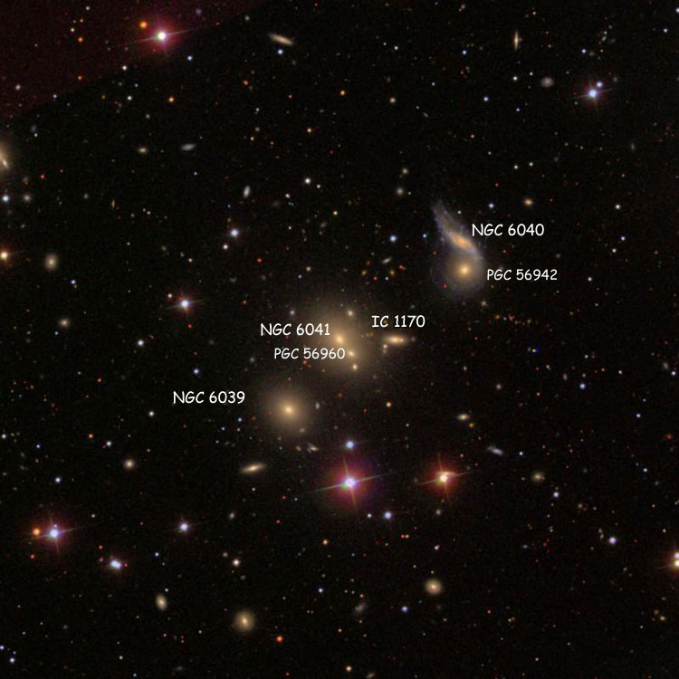 Labeled SDSS image of region near elliptical galaxy NGC 6041, also showing NGC 6039, IC 1170 and PGC 56960 (sometimes called NGC 6041B), NGC 6040 and PGC 56942 (sometimes called NGC 6040B)