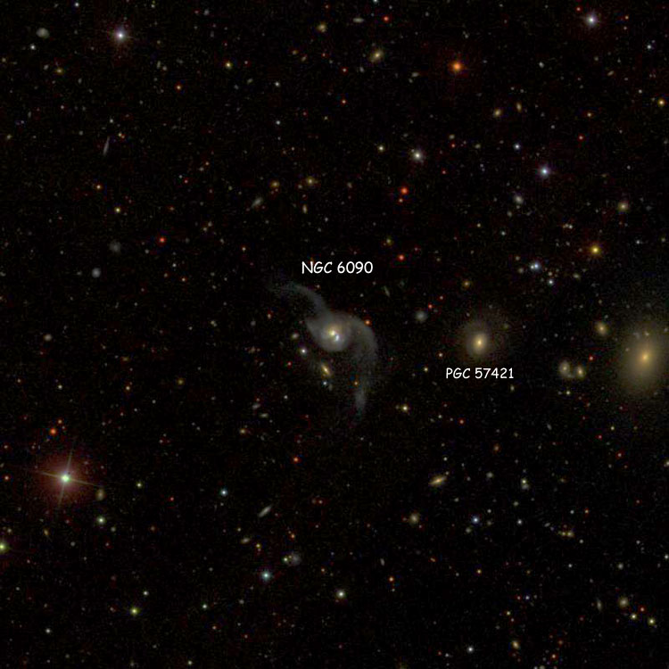 SDSS image of the region near the pair of colliding spiral galaxies listed as NGC 6090, also showing PGC 57421