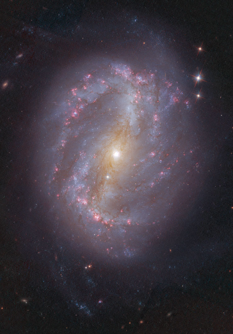 HST image of central portion of spiral galaxy NGC 6217