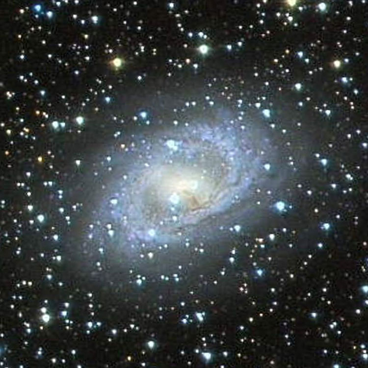 Wikisky cutout of image of spiral galaxy NGC 6300 posted by Jim Riffle