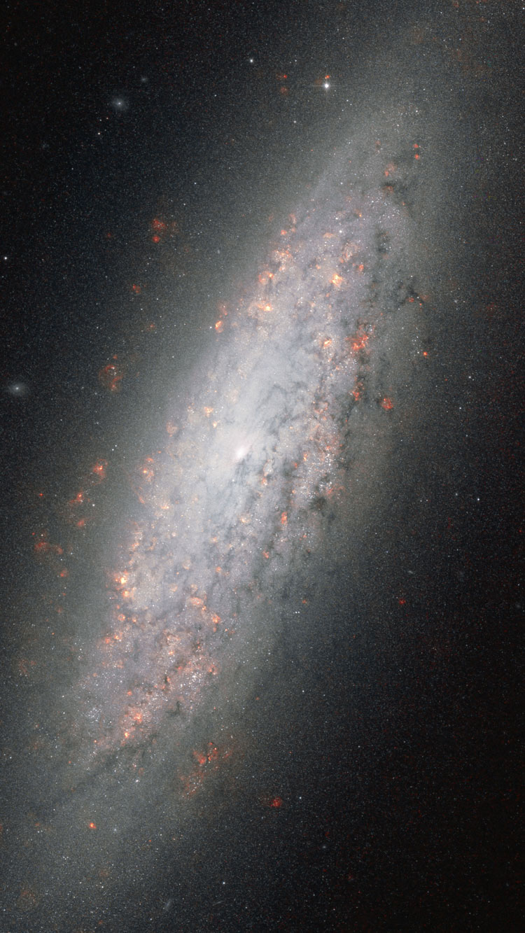 HST false-color image of central portion of spiral galaxy NGC 6503