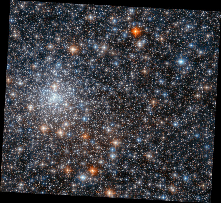 HST image of part of globular cluster NGC 6558 and its western surroundings