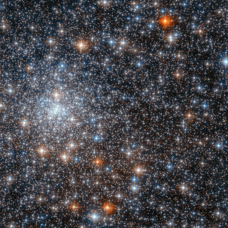 HST image of part of globular cluster NGC 6558