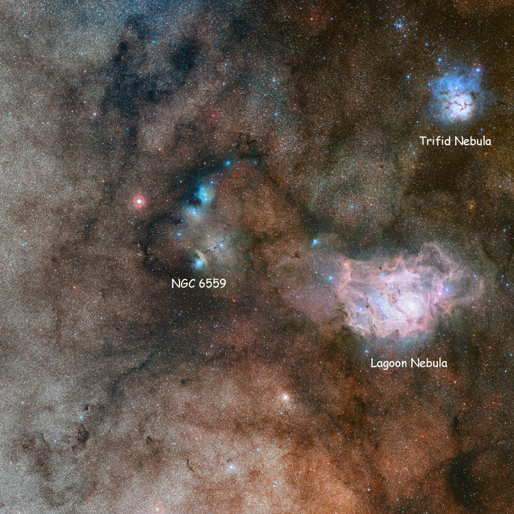 DSS image of region near NGC 6559, also showing the Lagoon and Trifid nebulae