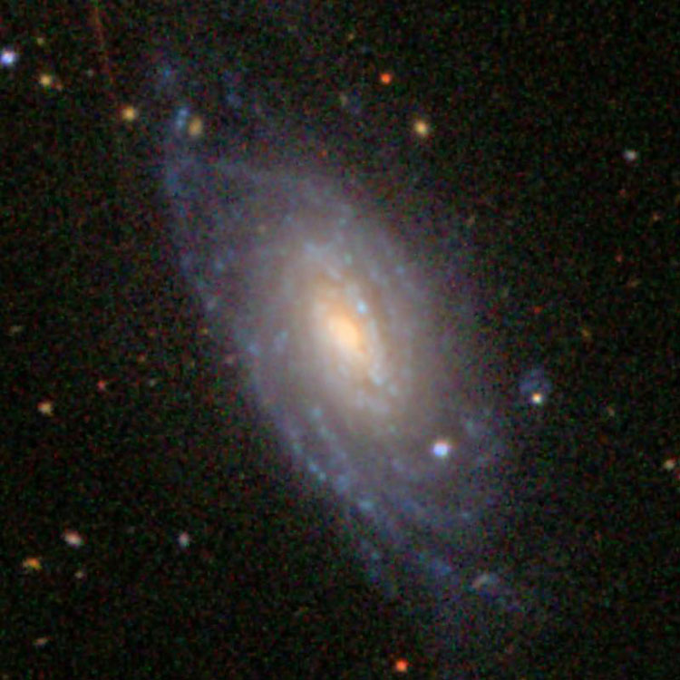SDSS image of spiral galaxy NGC 658