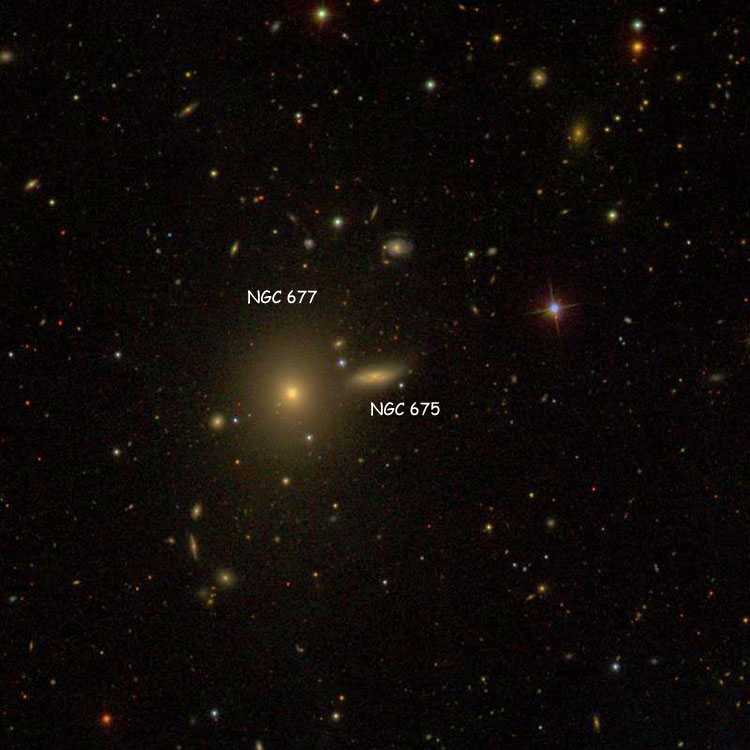 SDSS image of region near spiral galaxy NGC 675, also showing NGC 677