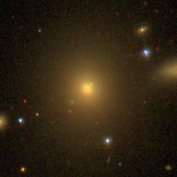 SDSS image of elliptical galaxy NGC 677 and part of NGC 675