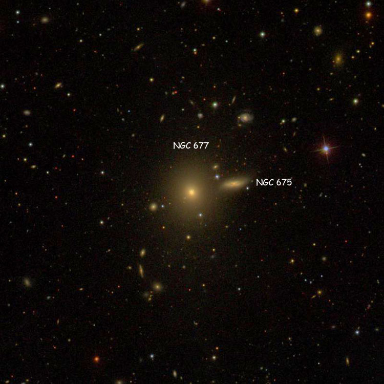 SDSS image of region near elliptical galaxy NGC 677, also showing NGC 675