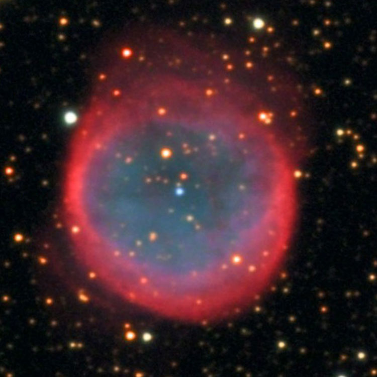 Misti Mountain Observatory image of planetary nebula NGC 6781