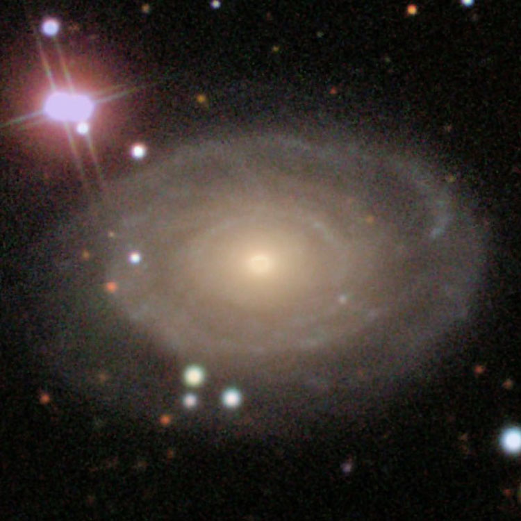 SDSS image of spiral galaxy NGC 691