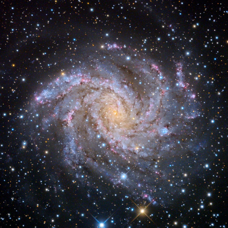 Mount Lemmon SkyCenter image of spiral galaxy NGC 6946, also known as Arp 29 and The Fireworks Galaxy