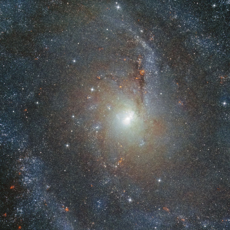 HST image of central portion of spiral galaxy NGC 6946, also known as Arp 29 and The Fireworks Galaxy