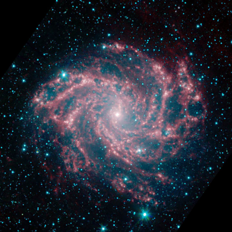 Spitzer infrared image of spiral galaxy NGC 6946, also known as as Arp 29 and The Fireworks Galaxy