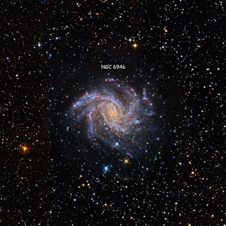 Mount LemmonSkyCenter image of region near spiral galaxy NGC 6946, also known as Arp 29 and The Fireworks Galaxy, superimposed on a DSS background to fill in areas otherwise not covered