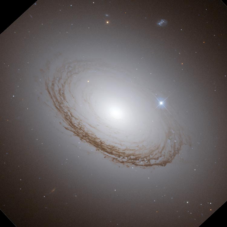 HST image of core of lenticular galaxy NGC 7049