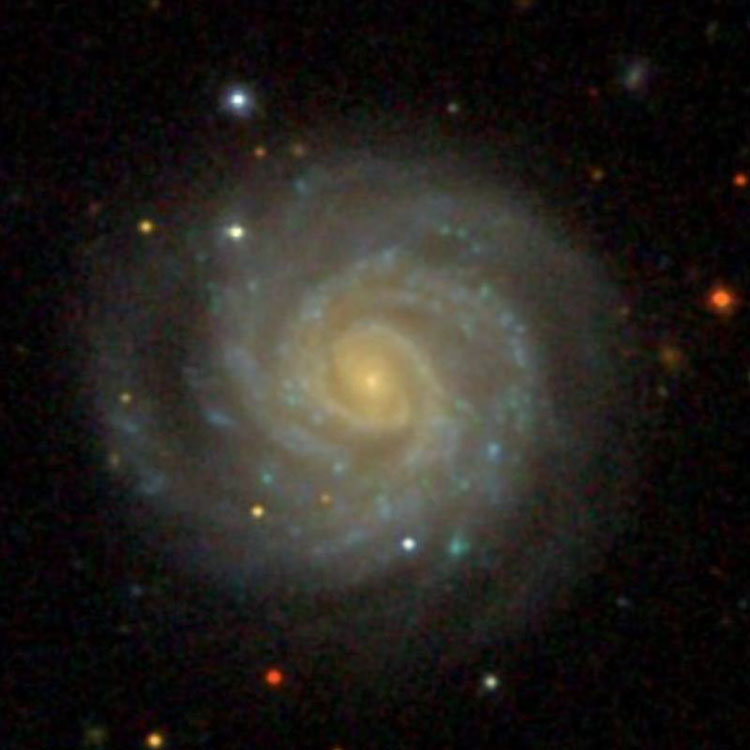 SDSS image of spiral galaxy NGC 7156