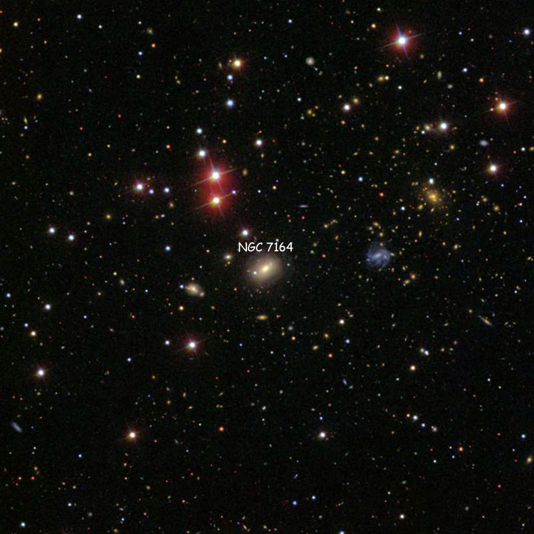 SDSS image of region near lenticular galaxy NGC 7164