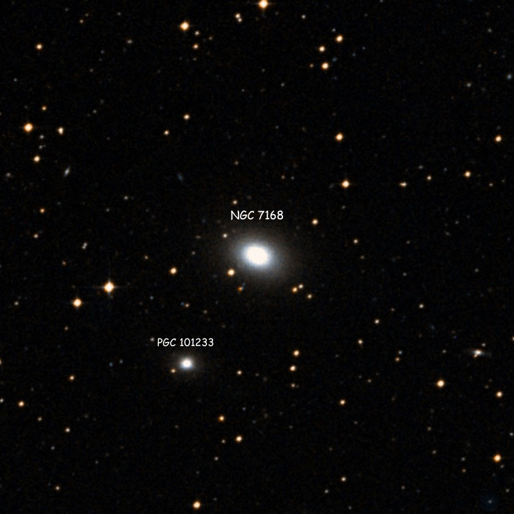 DSS image of region near elliptical galaxy NGC 7168, also showing PGC 101233