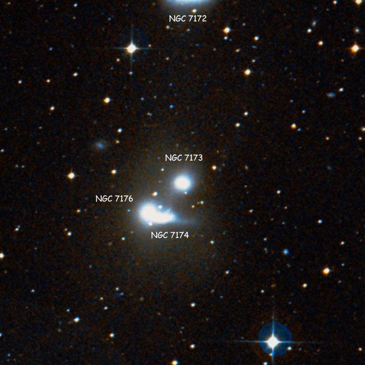 DSS image of region near elliptical galaxy NGC 7173, also showing NGC 7172, NGC 7174, and NGC 7176, with which it comprises Hickson Compact Group 90