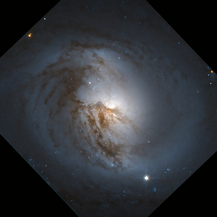 HST image of central portion of spiral galaxy NGC 7177