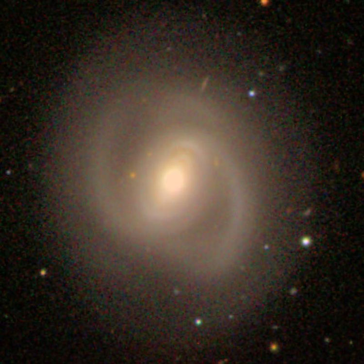SDSS image of spiral galaxy NGC 718