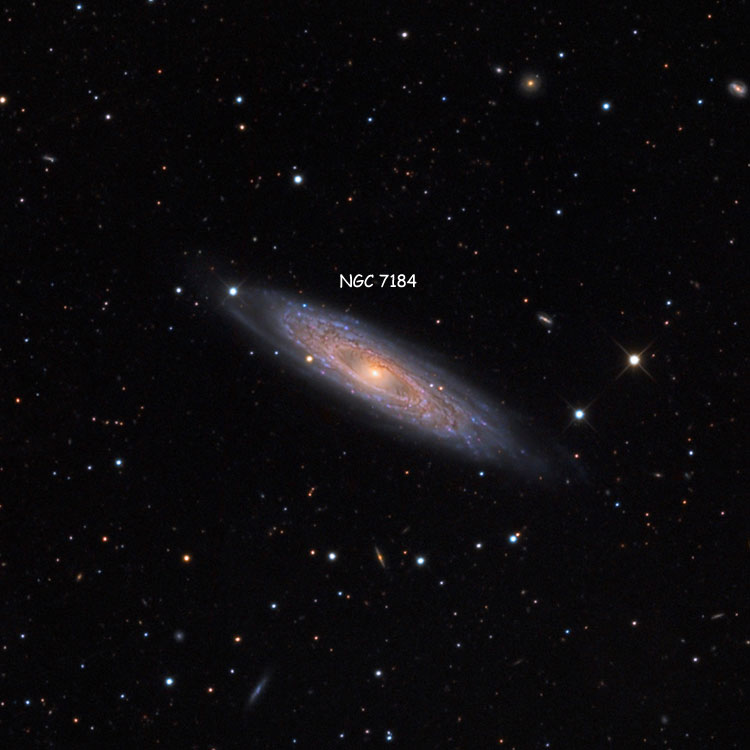 MountLemmon SkyCenter image of region near spiral galaxy NGC 7184