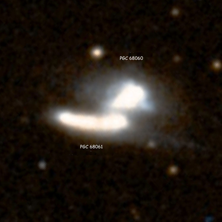 DSS image of NGC 7204, an interacting pair of galaxies