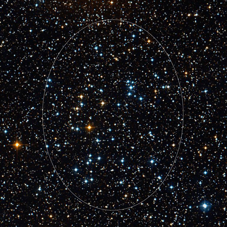DSS image of open cluster NGC 7209
