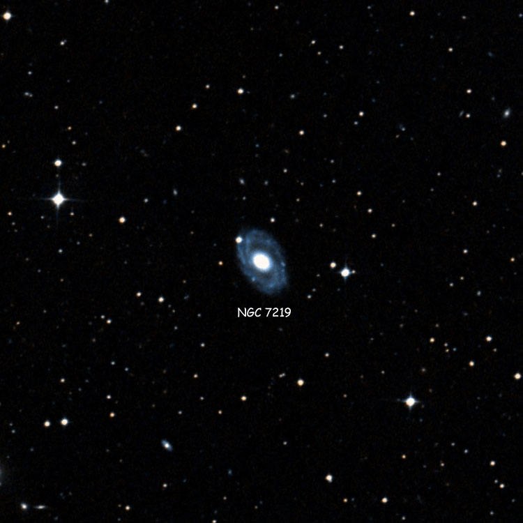 DSS image of region near spiral galaxy NGC 7219
