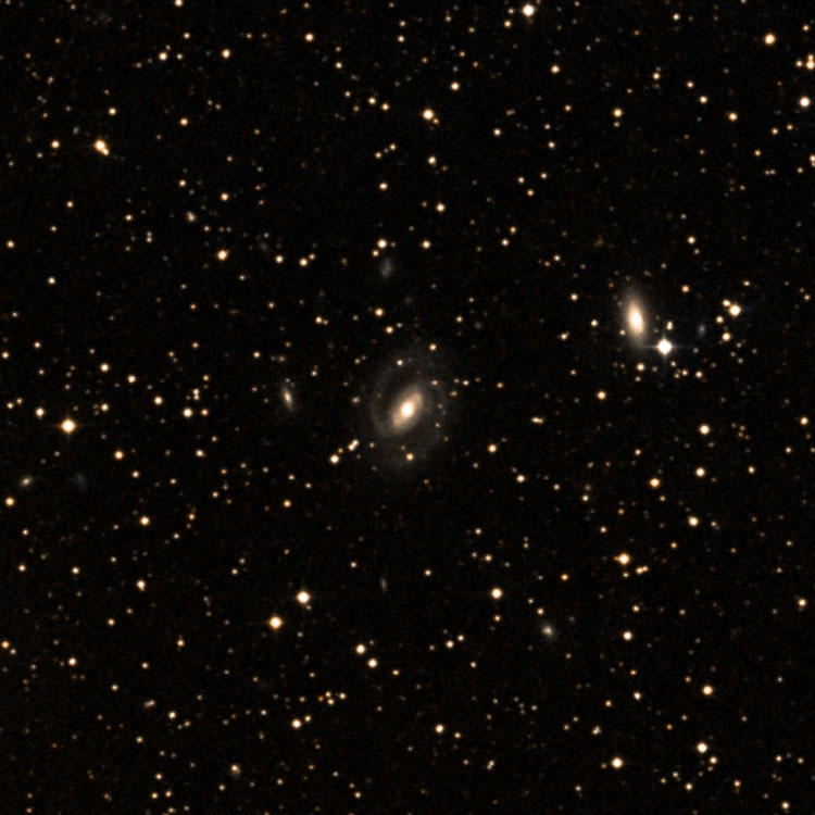DSS image of region near spiral galaxy NGC 7228, also showing NGC 7227