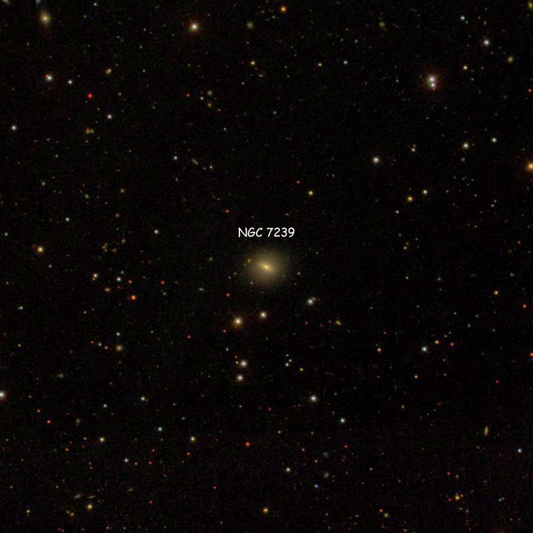 SDSS image of region near lenticular galaxy NGC 7239
