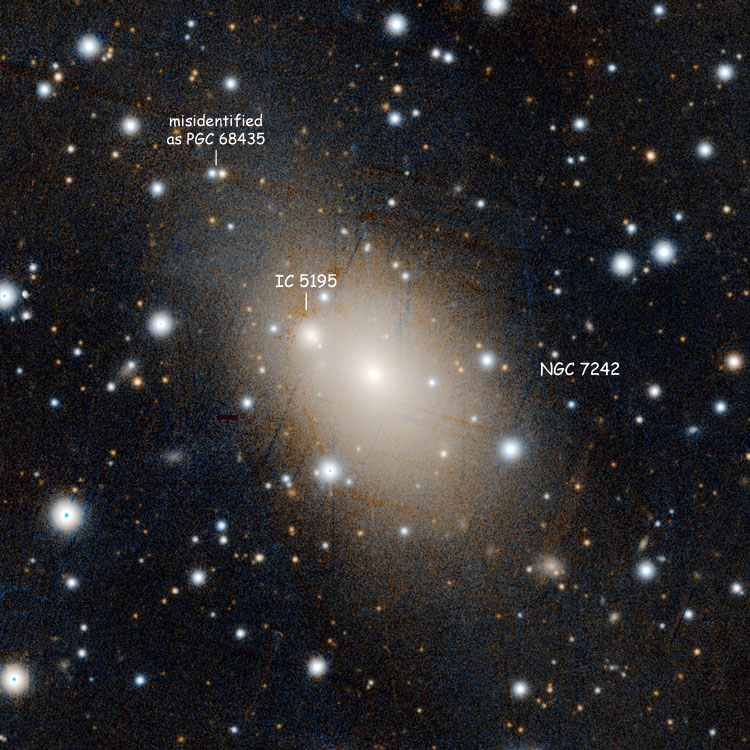 PanSTARRS image of peculiar giant elliptical galaxy NGC 7242, also showing foreground galaxy IC 5195