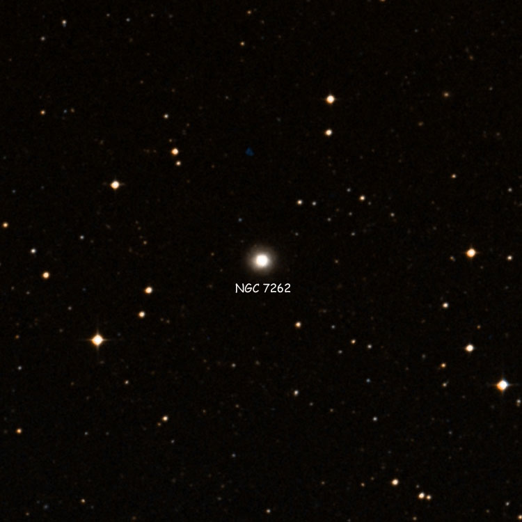 DSS image of region near lenticular galaxy NGC 7262