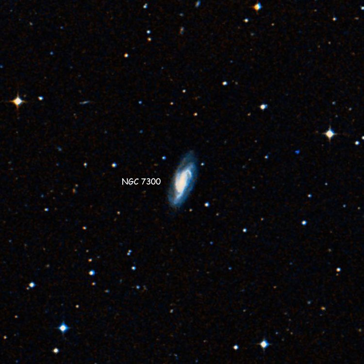 DSS image of region near spiral galaxy NGC 7300