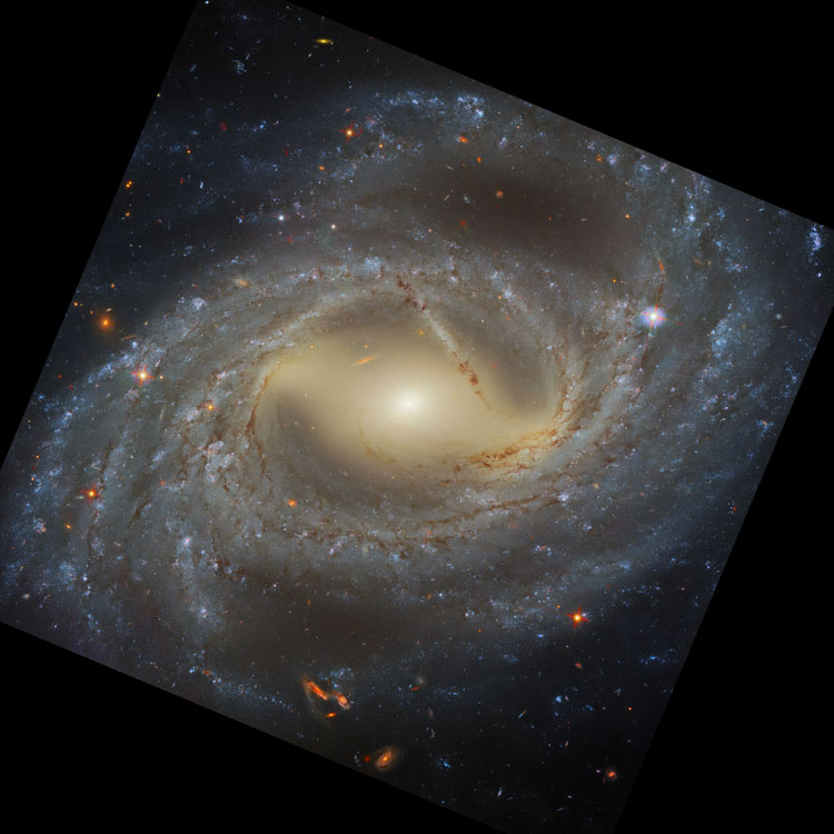 HST Survey image of part of spiral galaxy NGC 7329