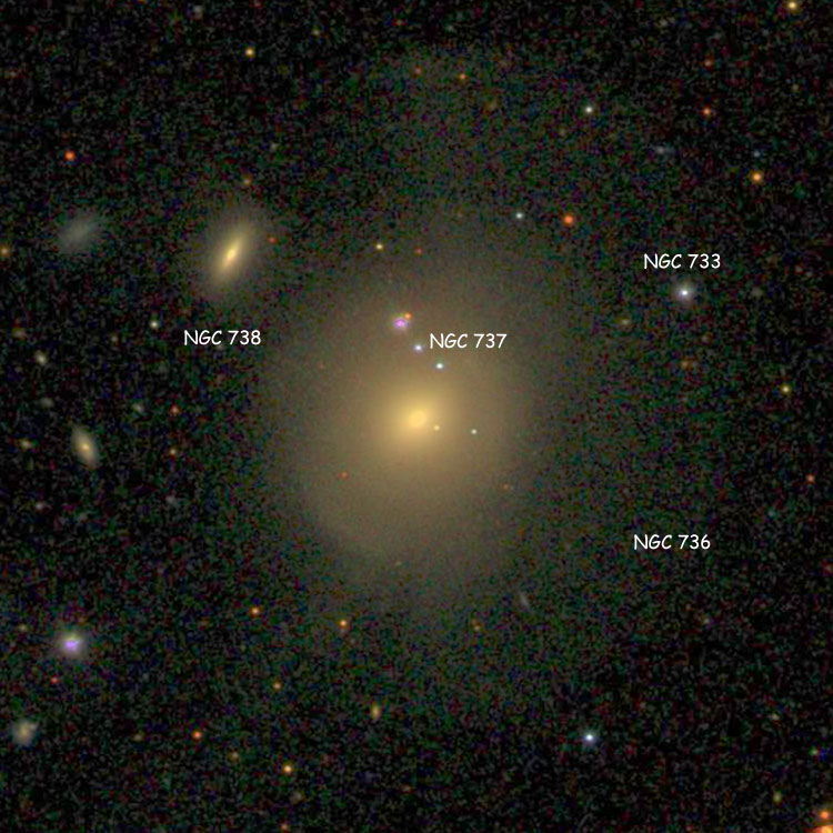 SDSS image of elliptical galaxy NGC 736 and its outer shell, also showing NGC 737 and NGC 738