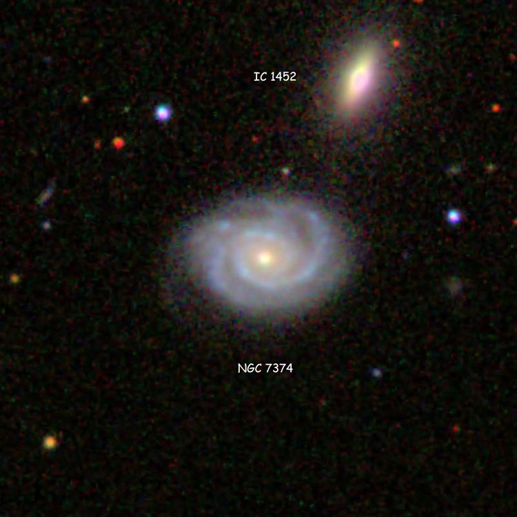 SDSS image of spiral galaxy NGC 7374, also showing IC 1452