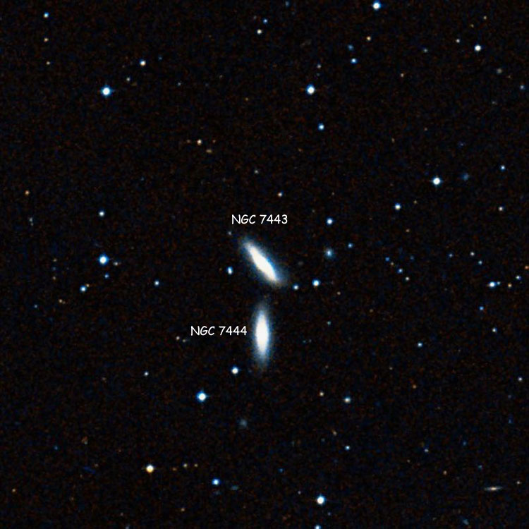 DSS image of region near lenticular galaxy NGC 7443, also showing NGC 7444