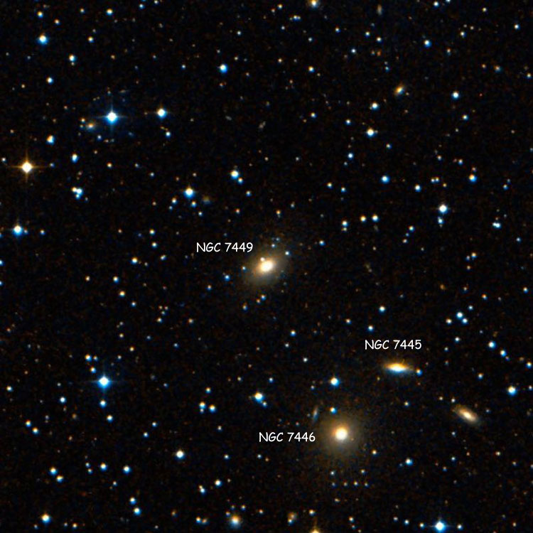 SDSS image of region near elliptical galaxy NGC 7449, also showing NGC 7445 and 7446