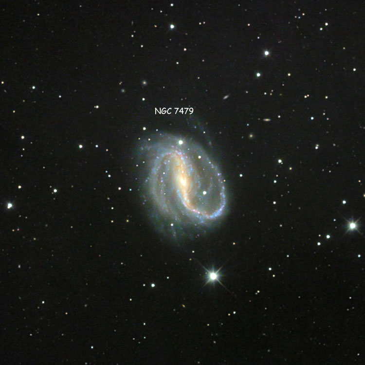 Misti Mountain Observatory image of region near spiral galaxy NGC 7479