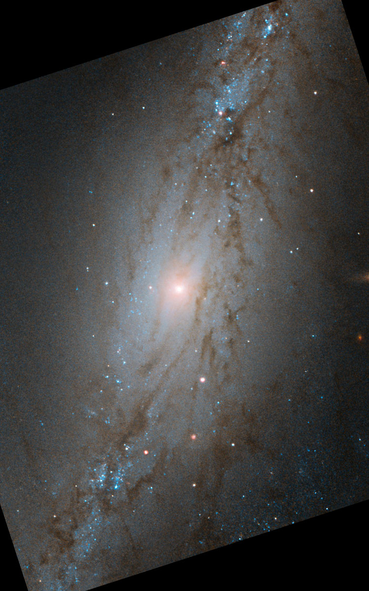 HST image of central bar of spiral galaxy NGC 7513