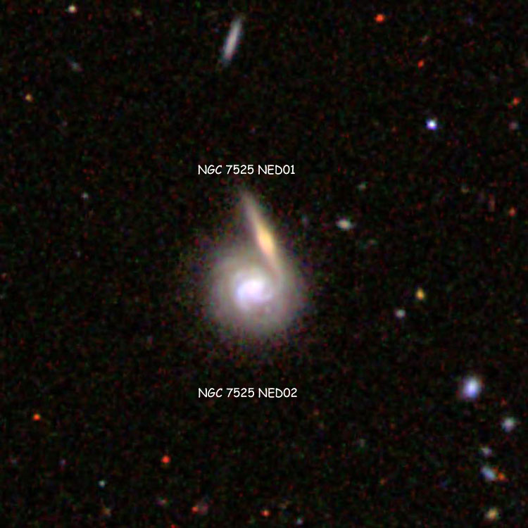 SDSS image of possible galaxy pair NGC 7525