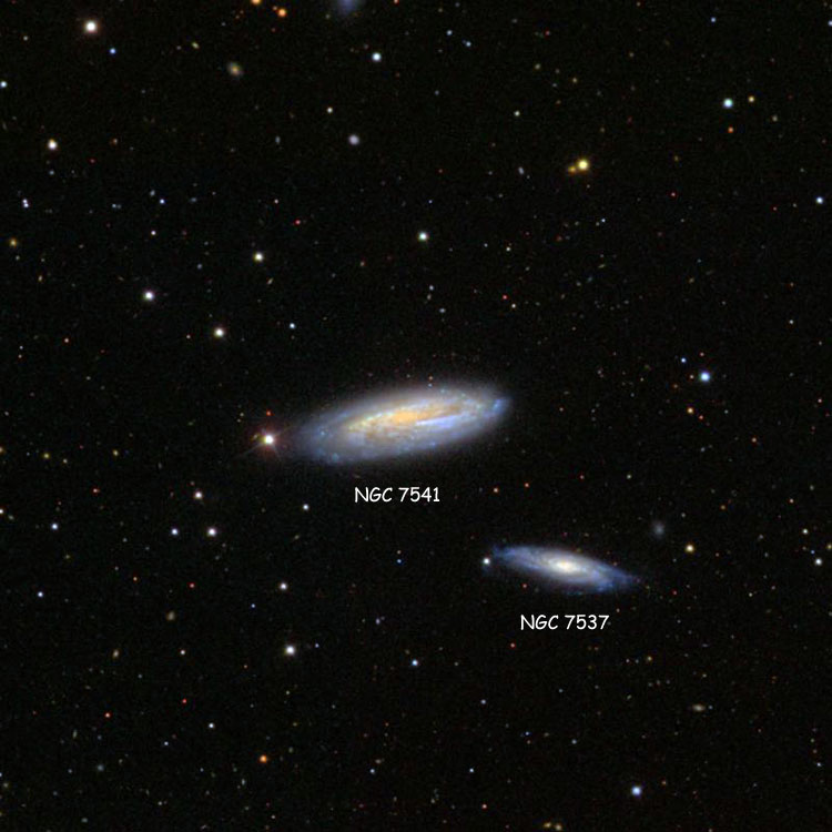SDSS image of region near spiral galaxy NGC 7541, also showing NGC 7537