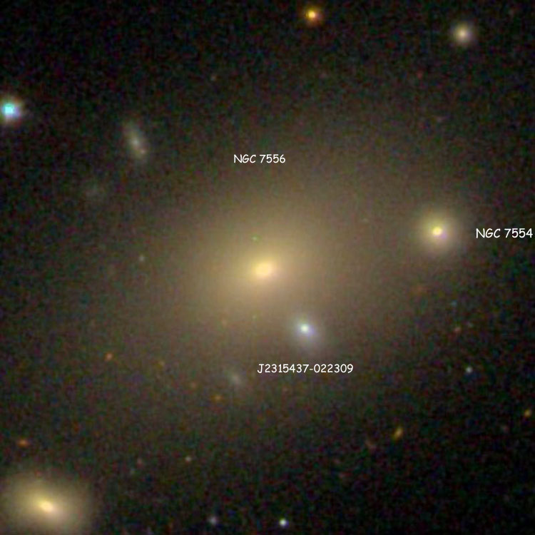 SDSS image of lenticular galaxy NGC 7556 and PGC 4662918, also showing elliptical galaxy NGC 7554
